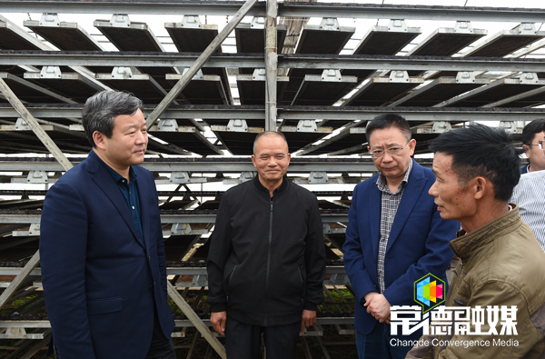 曹立军赴鼎城区调研 全力做好春耕备耕和乡村产业发展