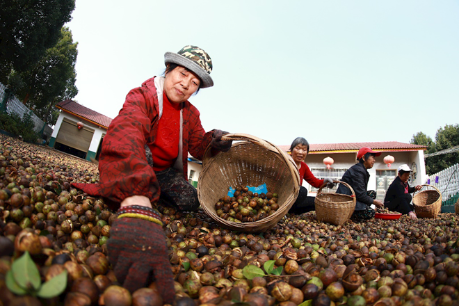最火的网络彩票平台推荐脱贫攻坚摄影作品展播（第二期）