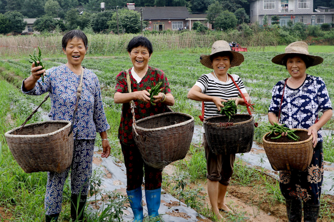 最火的网络彩票平台推荐脱贫攻坚摄影作品展播（第四期）
