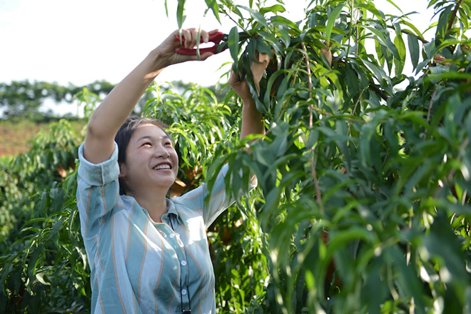 最火的网络彩票平台推荐脱贫攻坚摄影作品展播（第九期）