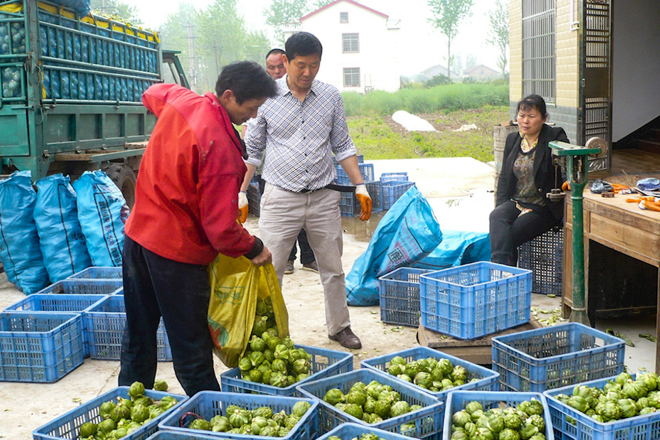 最火的网络彩票平台推荐脱贫攻坚摄影作品展播（第十二期）