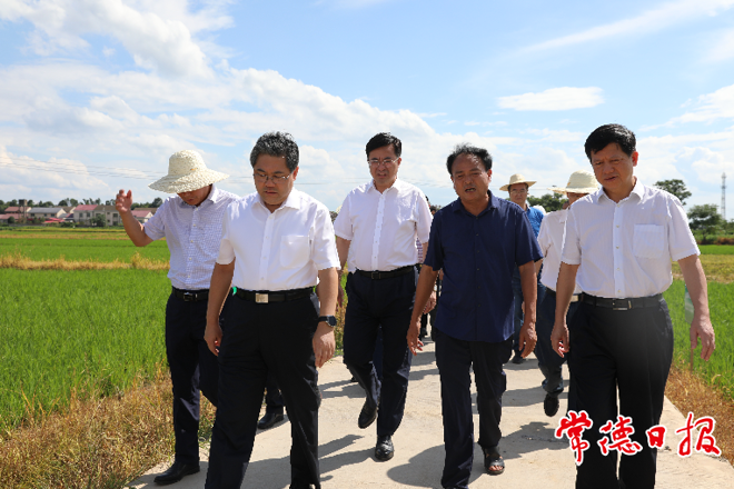 隋忠诚来常调研农业工作时指出 确保农业增效、粮食增产、农民增收