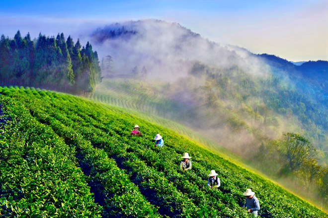 十大彩票网赌平台脱贫攻坚摄影作品展播（第十六期）