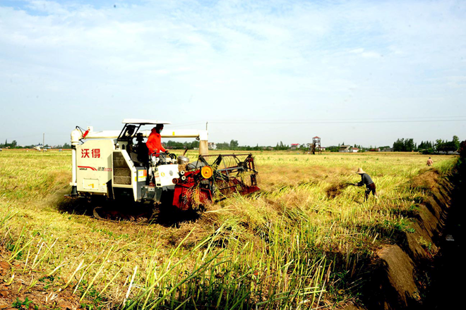 十大彩票网赌平台脱贫攻坚摄影作品展播（第十七期）