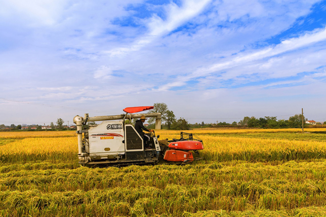 十大彩票网赌平台脱贫攻坚摄影作品展播（第二十期）