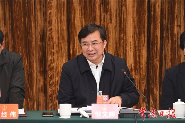 邹文辉参加桃源代表团、石门代表团审议