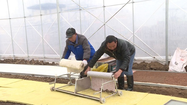 716eff7f674bba1988b4c2f343570ff.jpg 716eff7f674bba1988b4c2f343570ff.jpg