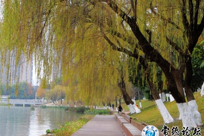 常德穿紫河、沅水风光带【组图】