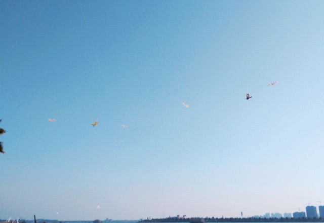 春节假期内的沙滩公园