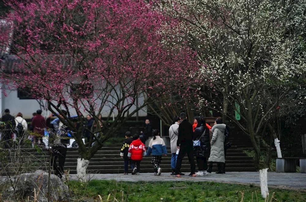 b9506f2a8f2646d29a597a191171f7ba.jpg b9506f2a8f2646d29a597a191171f7ba.jpg