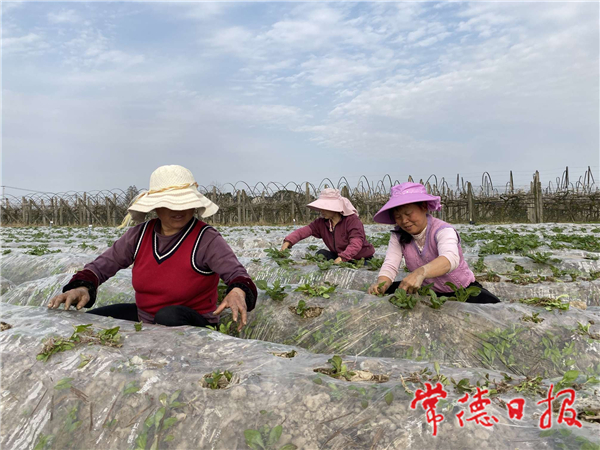 IMG_20210219_11290857_1613705621093.jpg IMG_20210219_11290857_1613705621093.jpg