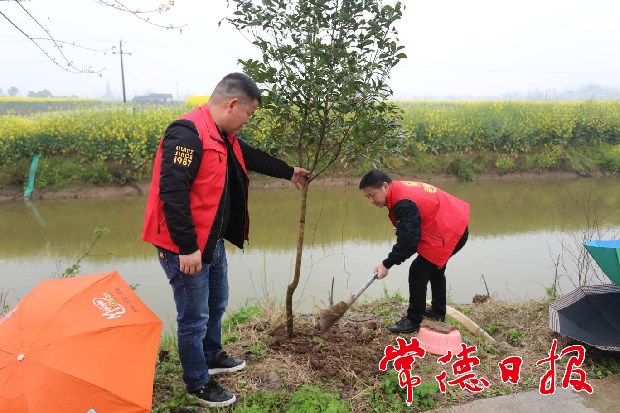 IMG_20210316_17253120_1615887237225.jpeg IMG_20210316_17253120_1615887237225.jpeg