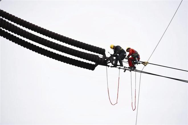 【经济】澧县助力三科农商城建设