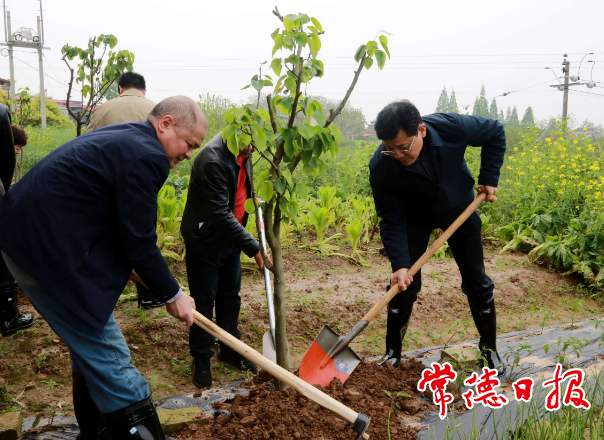 市政协开展义务植树活动