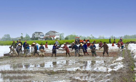 【经济】一年之计在于春，春耕育秧正当时