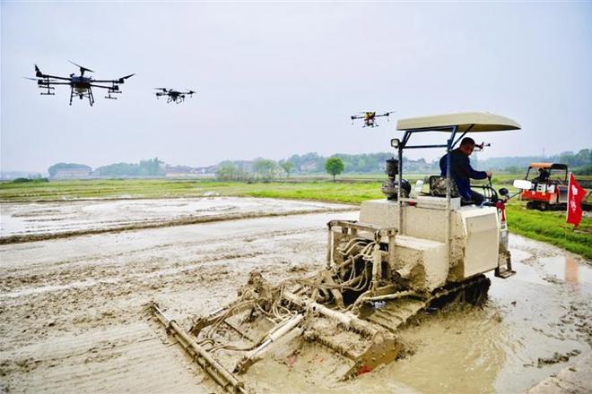 【经济】鼎城区谢家铺镇向家巷村举行春耕生产暨早稻生产全程机械化推进会