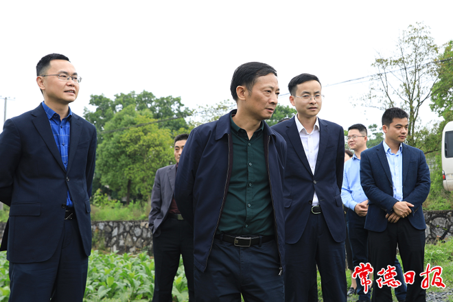 市领导调研桃源县防汛备汛和乡村振兴工作