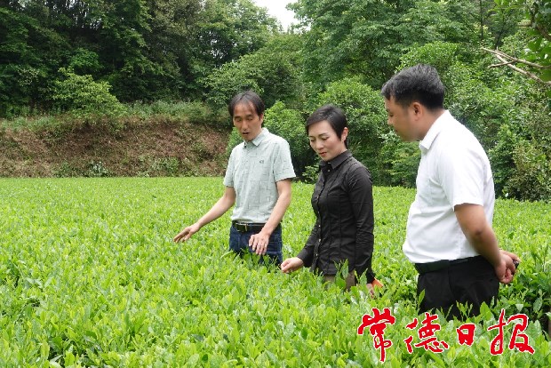 IMG_20210525_19351894.jpeg IMG_20210525_19351894.jpeg