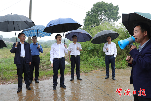 市领导赴临澧县督导党史学习教育和乡村振兴工作