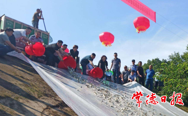 桃花源1200万尾鱼苗放流沅江