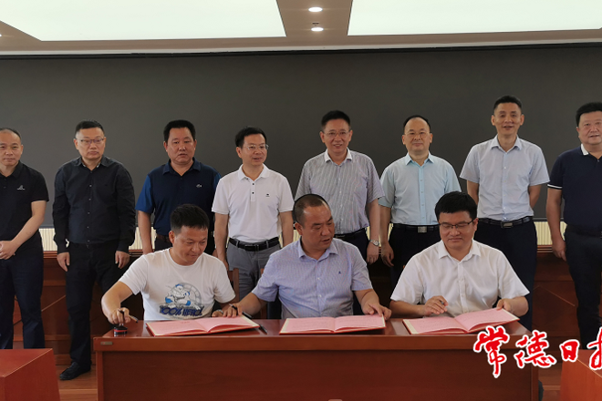 市领导调度裕民村乡村振兴工作