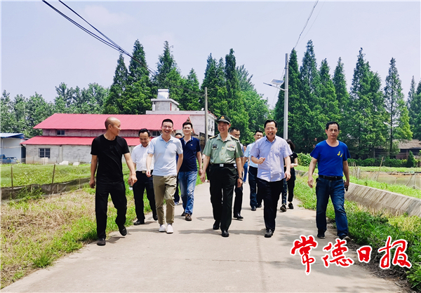 市领导在团结村调研乡村振兴工作时强调：落实各项措施 出实招干实事