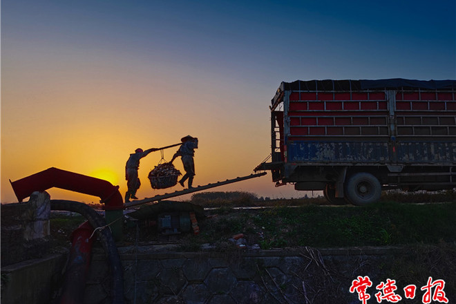 发现常德之美【组图】