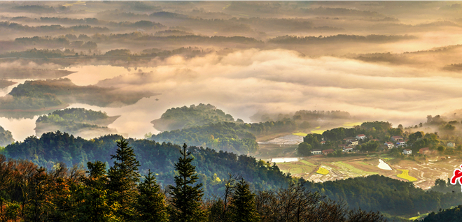 大美常德【组图】