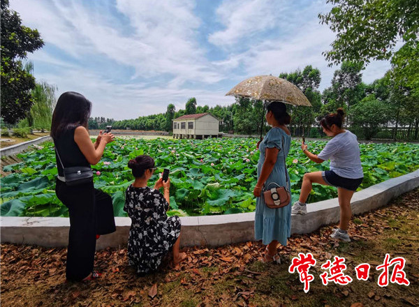 发现常德之美——常德蓝【组图】