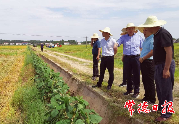 全省水稻机收减损现场演示会筹备工作专题会议强调：抓好活动筹备 彰显常德作为