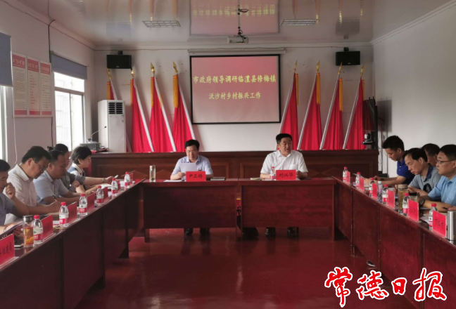 市领导赴临澧调研乡村振兴工作时强调：因地制宜做好村庄的布局和产业规划