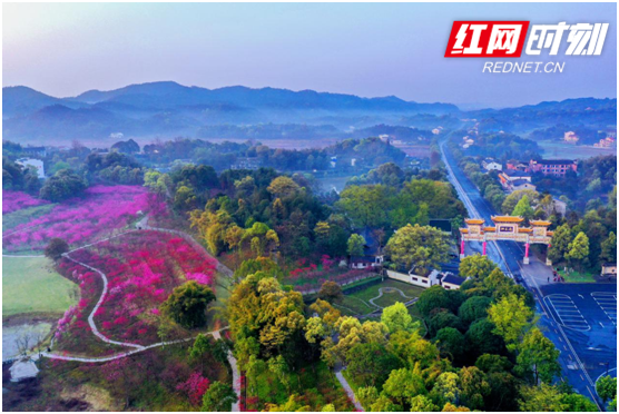 桃花源.png 桃花源.png