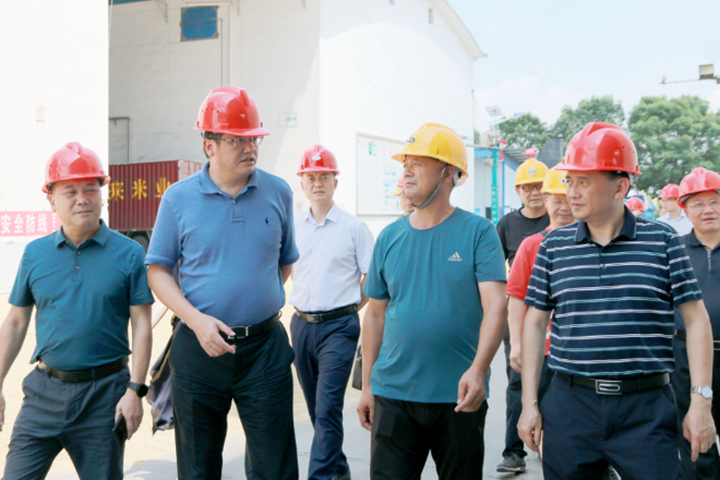 市领导实地调研早稻收购工作时强调 切实担负起粮食安全政治责任