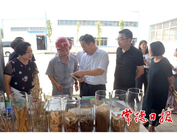 市领导赴鼎城、安乡调研“双碳”工作