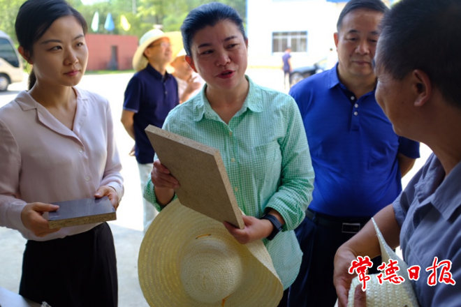 市领导赴安乡县调研“双碳”工作