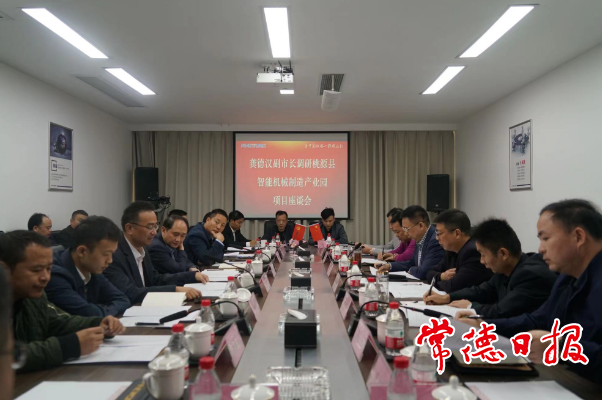 市领导调研桃源县智能机械制造产业园项目