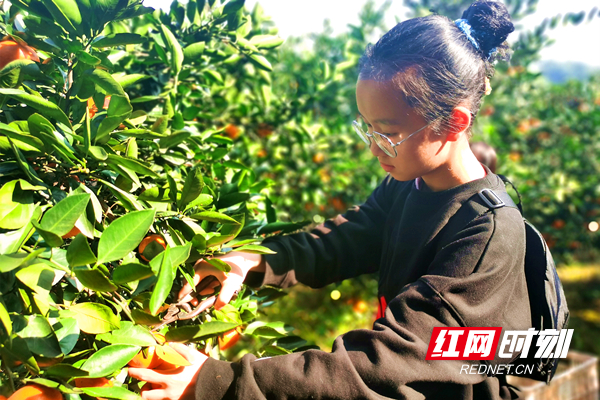 05232713a4d95f07f222ab1af31b72b.jpg 05232713a4d95f07f222ab1af31b72b.jpg