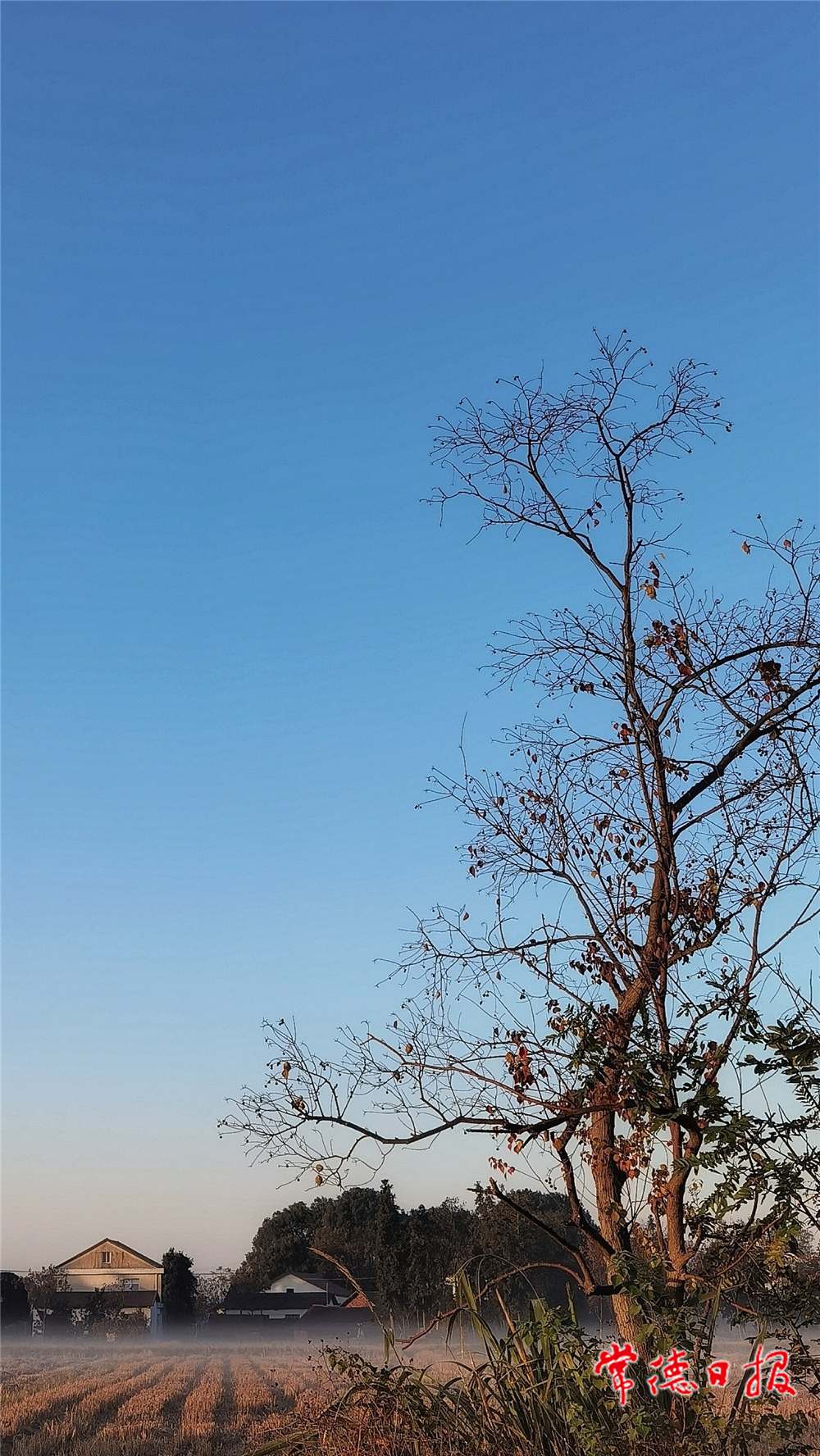 朱世奎-田园风光-2-1.jpg