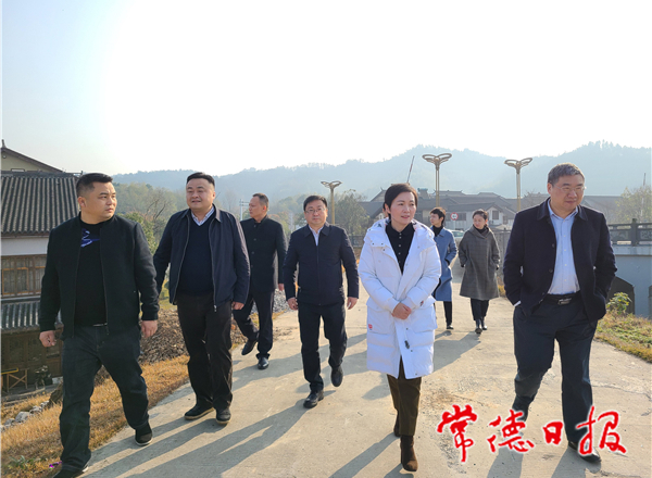 市领导带队巡查桃花源水溪河