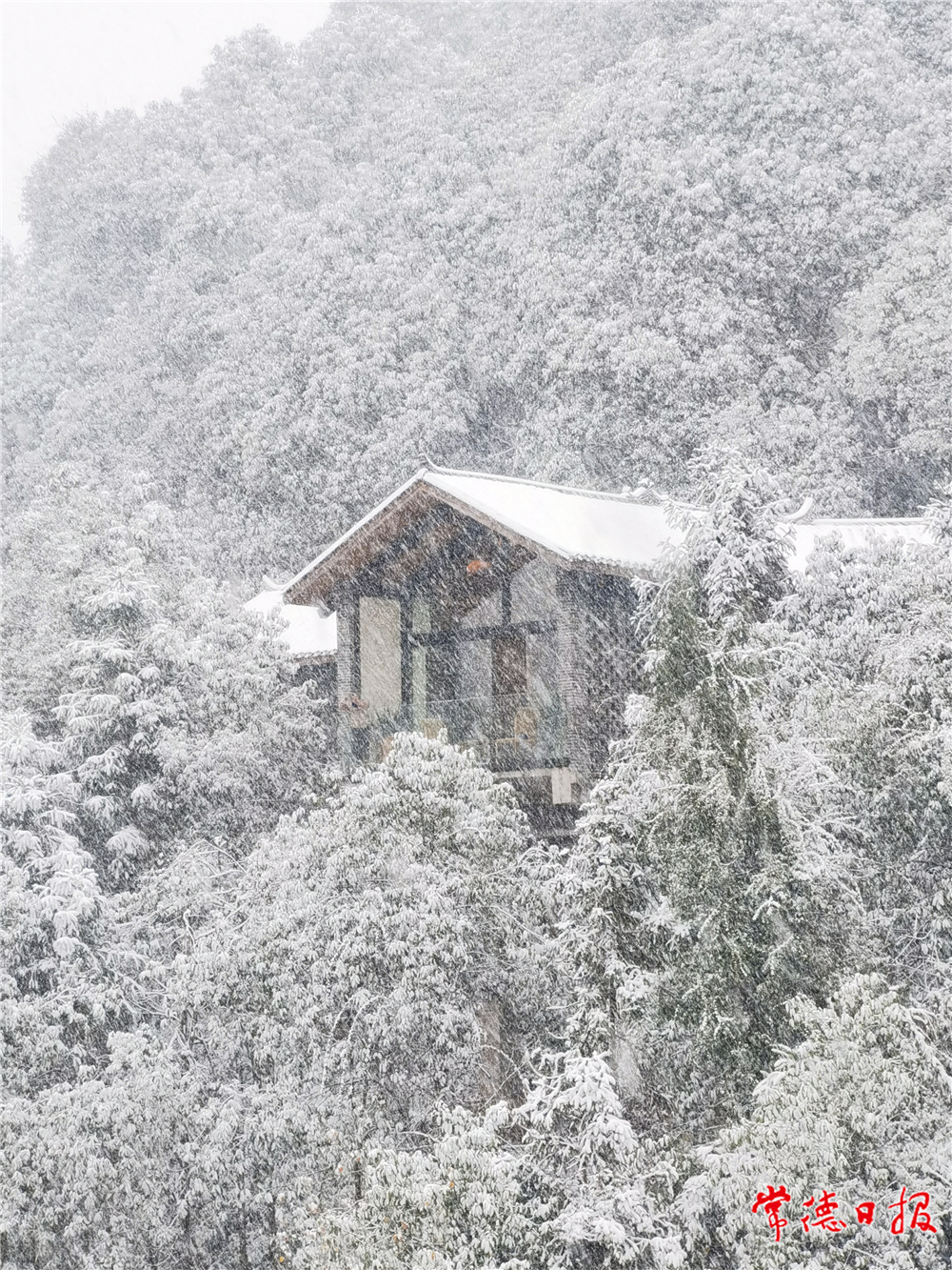 sj赵立文-听雪-5-1.jpg