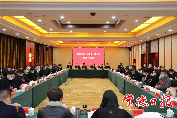 曹志强参加澧县代表团审议