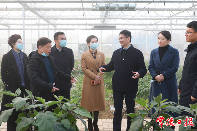 曹志强在柳叶湖旅游度假区调研时指出：大力发展城市经济 把柳叶湖建设得更加靓丽