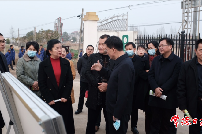 市领导调研鼎城区甲鱼产业发展时提出 科学谋划、积极组织，进一步推动农业产业化