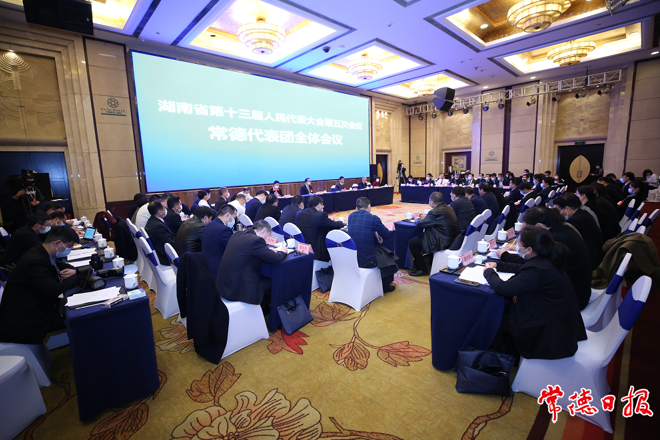 杨浩东参加常德代表团集中审查省政府工作报告指出：永葆“闯”的精神“创”的劲头“干”的作风 为全省高质量发展作出应有贡献