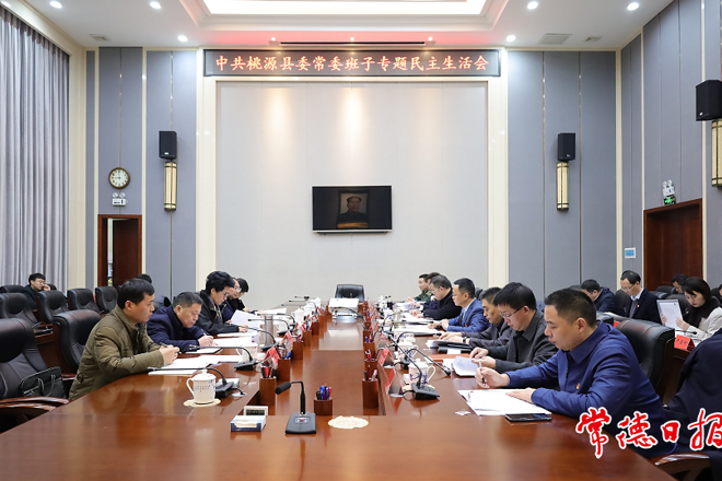 市领导指导桃源县委常委班子党史学习教育专题民主生活会