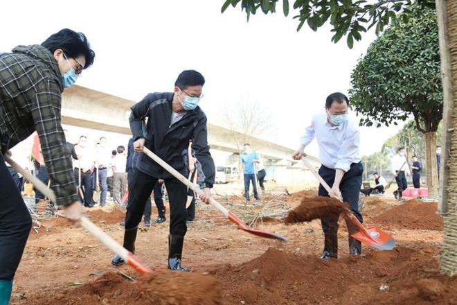 我市开展2022年义务植树活动