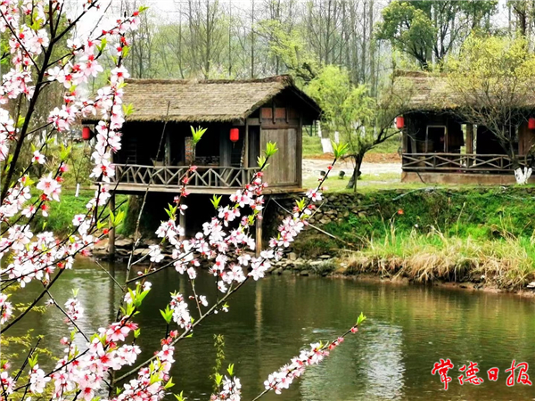 微信图片_20220329170405.jpg 微信图片_20220329170405.jpg