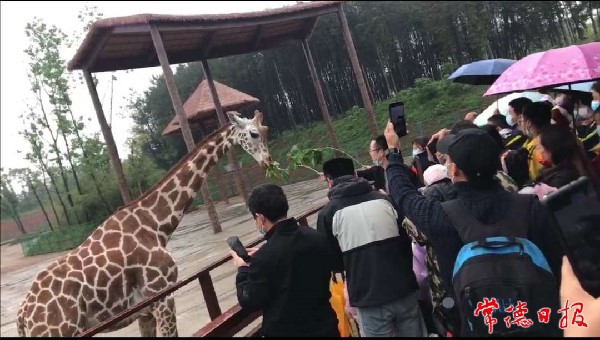 【摄影报道】＂五一