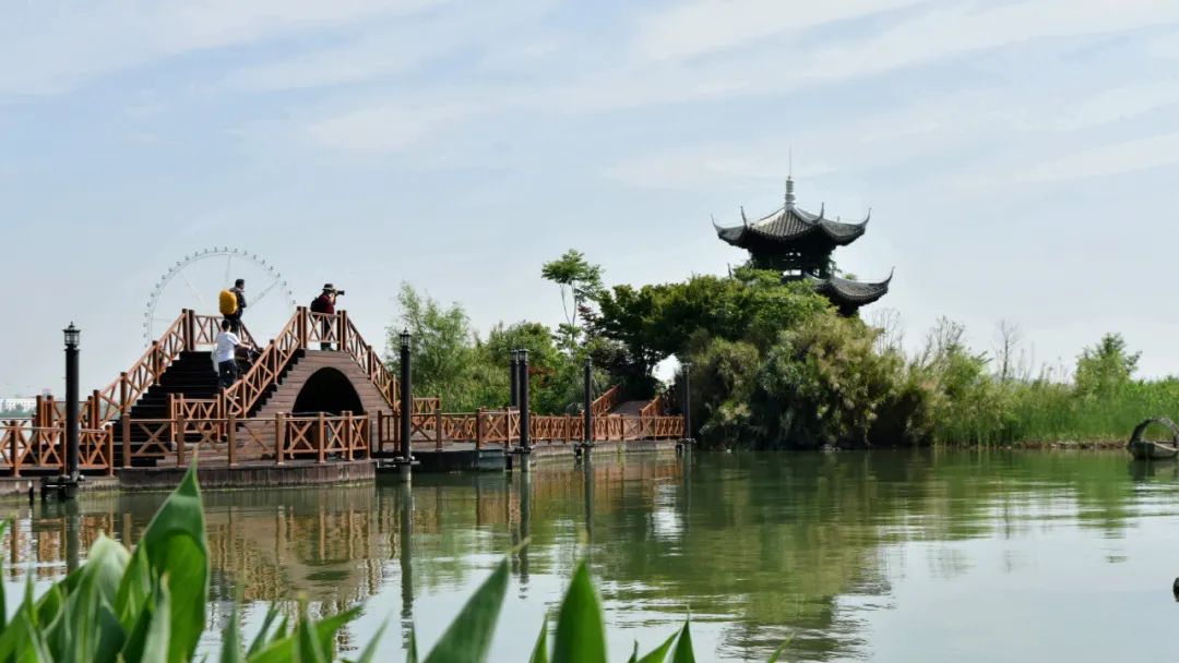 图片 图片