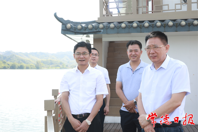 曹志强在桃源县调研乡村振兴、项目建设等工作